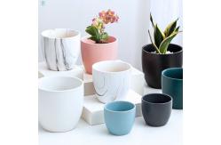 China Customizable Ceramic Pots To Meet Your Specific Planting Requirements supplier
