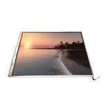 LTM14C506B 14.1 Inch  TFT-LCD Screen Module For Laptop for sale