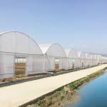 Multi-span Agricultural Poly Tunnel Plastic Greenhouse with Steel Tructure and Irragation System for sale