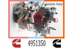 China Cummins Diesel NT855 Engine Fuel Injection Pump 4951350 3074835 3646708 supplier