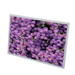 12.1 Inch TFT Display Module 400Cd/M2 Brightness lCD display panel From Shenzhen for sale