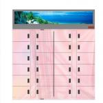 Food Market Refrigerated Frozen Locker Electronic Storage Fresh Flowers Lockers for sale
