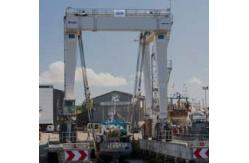 China High Efficient Boat Hoist Crane Portable Wireless Controlled supplier