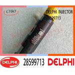 28599713 DELPHI Common Rail Fuel Injector 1100100XED95 1100100X-ED95