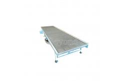 China SS304 Mango Pineapple Mesh Fruit Conveyor Belt Corrosion Resistant supplier