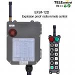 Telecontrol EF24-12D Industrial Wireless Remote Control Used For Hazardous Area for sale