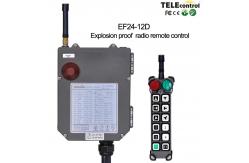 China Telecontrol EF24-12D Industrial Wireless Remote Control Used For Hazardous Area supplier