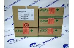 China Yokogawa AAR145-S03 RTD/POT Input Module AAR145-S03 In Origianl Packing supplier