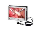 All In One Veterinary Endoscope Image System 1000TVL for sale