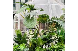 China Diameter 3m Outdoor Bubble Tents PC Transparent Bubble Tent With LED supplier