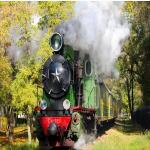 International Railway Freight Forwarder DDP From China To Russia for sale