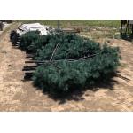 Q345 Artificial Palm Tree Telecommunication Camouflage Cell Tower