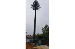 China Camouflaged Communication Pine Palm Tree Tower 0m - 80m Height supplier