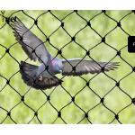 Black Polyethylene Mesh Netting Customized Bird Net For Vegetable Garden for sale