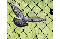 China Black Polyethylene Mesh Netting Customized Bird Net For Vegetable Garden supplier