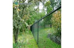 China Mini Garden Chain Link Fence Trellis supplier