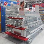 A Type Layer Battery Chicken Cage System In Poultry Farm Big Capacity for sale