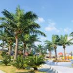 Custom Height 3-30m Evergreen Artificial Coconut Palm Tree For Outdoor Events for sale