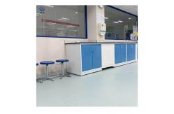 China Steel Wooden Wall Mounted Lab Bench With Easy Installation supplier