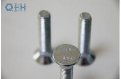 China DIN608 Short Square Neck CL8.8 Carbon Steel Bolt supplier
