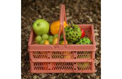 China 16.2cm Plastic Storage Baskets With Handles supplier