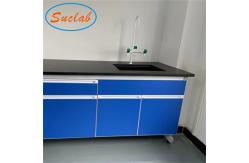 China Practical Wall Bench Laboratory Acid Resistant Multipurpose Antirust supplier