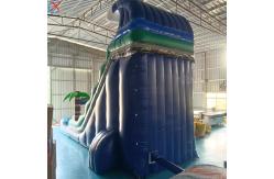 China Factory Commercial Inflatable Water Slide Inflatable Summer Slides For Outdoor supplier