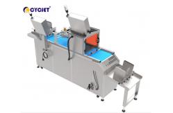 China CVI 460-VD Cartons Visual Inspection Machine Inkjet Printer Laser Marking Machine supplier