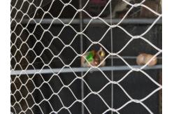 China Lightweight Stainless Steel Aviary Mesh Plain Weave Without Toxic Material supplier