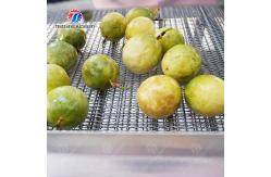 China 2025 Silver Fruit And Vegetable Processing Line for Processing supplier