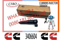 China PT Injector 3095773 3406604 3016676 3411821 3064881 3054218 3018566 supplier