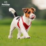 Nylon Oxford Lightweight 122G Comfort Dog Harness for sale