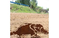 China Custom Yard Oem Garden Metal Ornaments Embellishments Crocodile Shape Cutting supplier