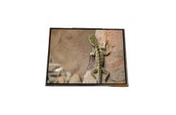 China AA142XC02 14.2 inch 1024*768 TFT-LCD Screen Display For Laptop supplier