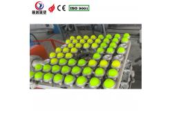 China Customizable Pickleball Bi Axial Rotomoulding Machine For Specific Production supplier
