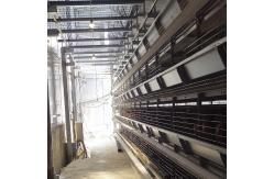 China 1.2mm Automatic Poultry Feeding System supplier