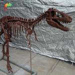 Personalized customization Dinosaur Bone Replicas T Rex Skull Replica for sale