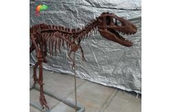 China Personalized customization Dinosaur Bone Replicas T Rex Skull Replica supplier