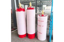 China HFC-227ea External Stored Pressure Fire Suppression Extinguisher Clean Agent Protection supplier