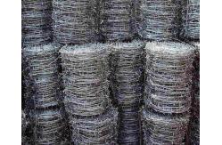 China 12*12 Galvanized Steel Barbed Wire 2.5 Mm Rust Resistance Easy maintain supplier