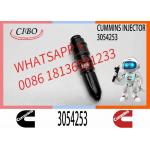 Excavator 3054218 3054253 3032392 4914308 4914325 Engine Common Rail Fuel Injector