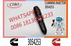 China Excavator 3054218 3054253 3032392 4914308 4914325 Engine Common Rail Fuel Injector supplier