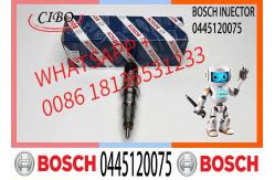 China Diesel Engine Common Rail Injector Assembly 0445120075 supplier