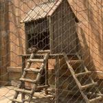 Stainless Steel Cable Mesh For Aviary Outdoor Animal Fencing for sale