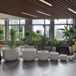 Revolutionize Your Planting Process with Our Fiber Clay Planter at Affordable Prices