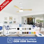 Winter Season Smart Bldc Ceiling Fan With Light By Reversible Function