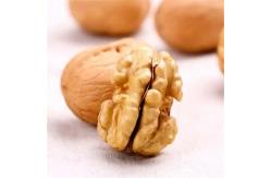 China Chinese Wholesale Yunnan Walnuts With Dark Kernels Prices Raw In Shell Dried Nuts supplier