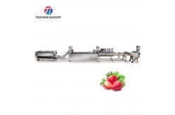 China SS304 Fruit And Vegetable Processing Line For Central Kitchens supplier