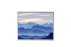 China 15.6 inch P1560FHF2MB00 LCD Display Screen Original in Stock supplier