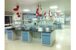 China Cleanroom Modular Lab Benches 12.7mm Alkali Resist Countertops Cold Rolled Steel Frames supplier